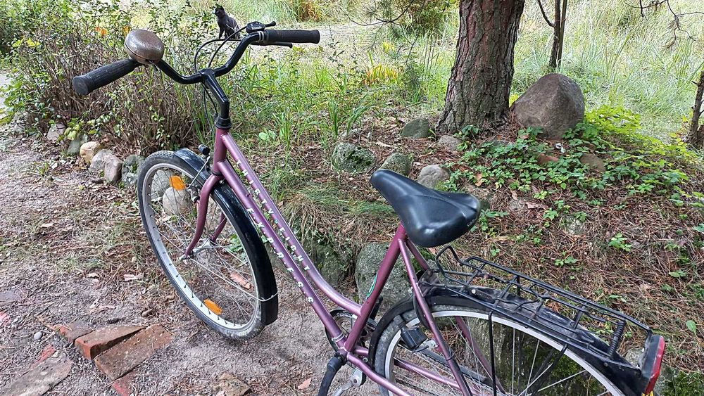 Rower Miejski Damski Express Hirty Eight 3 biegi Torpedo Damka 28