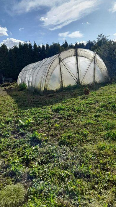 Tunel foliowy 6m szeroki długi 10m