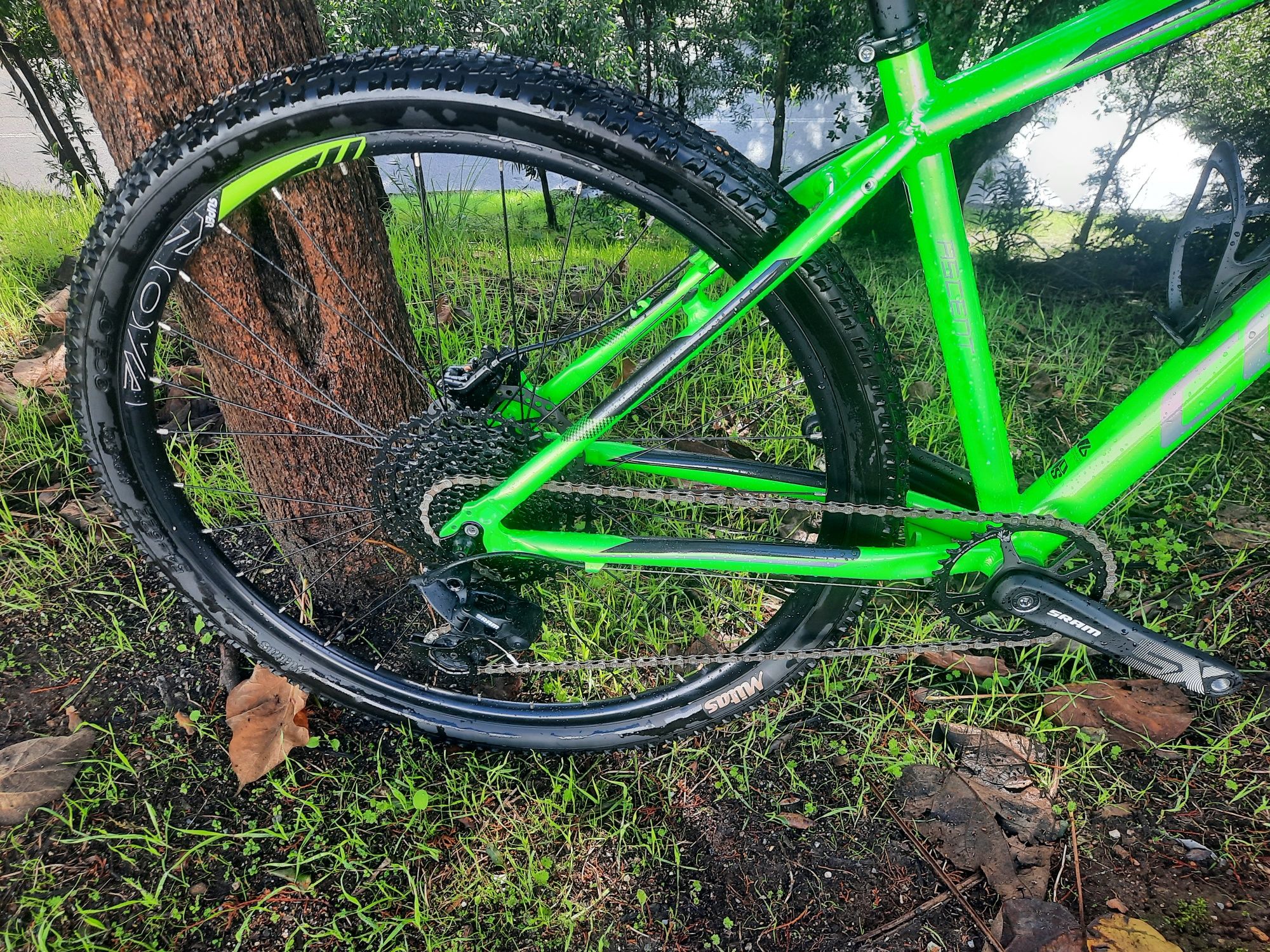 Btt 29 nova 12x1v oportunidadee
