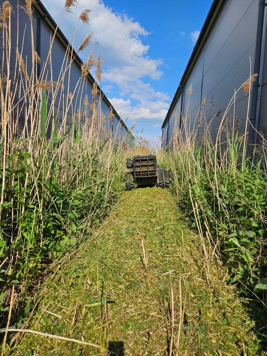 Mulczowanie Czyszczenie Działek Koszenie Terenu Skarp Rowów Siedlce