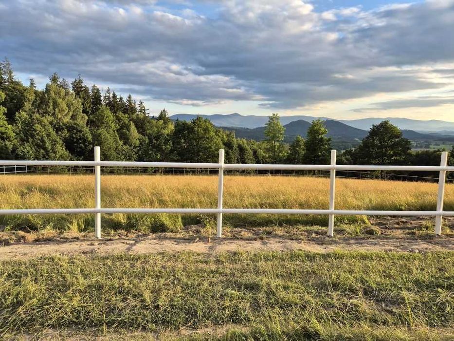 Ogrodzenie Drewniane Padok Lonżownik Zagroda Farmerska Dla Koni Bydła