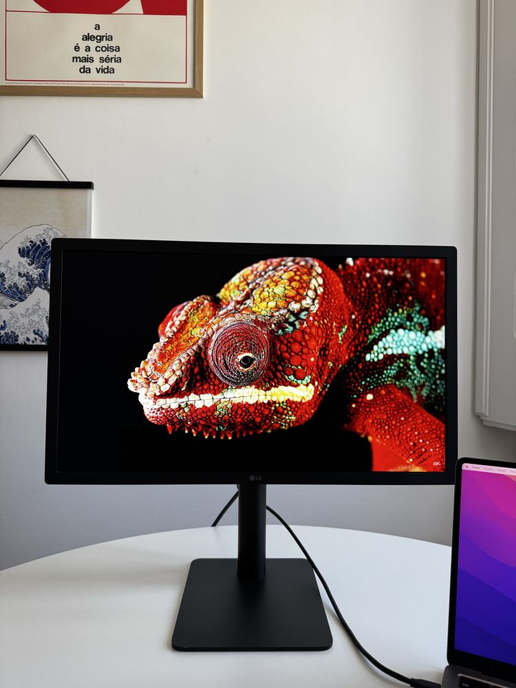 Monitor LG Ultrafine 4K 22MD4KA-B Mac OS