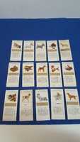 Conjunto de 15 de rótulos de caixas de fósforos representando Cães