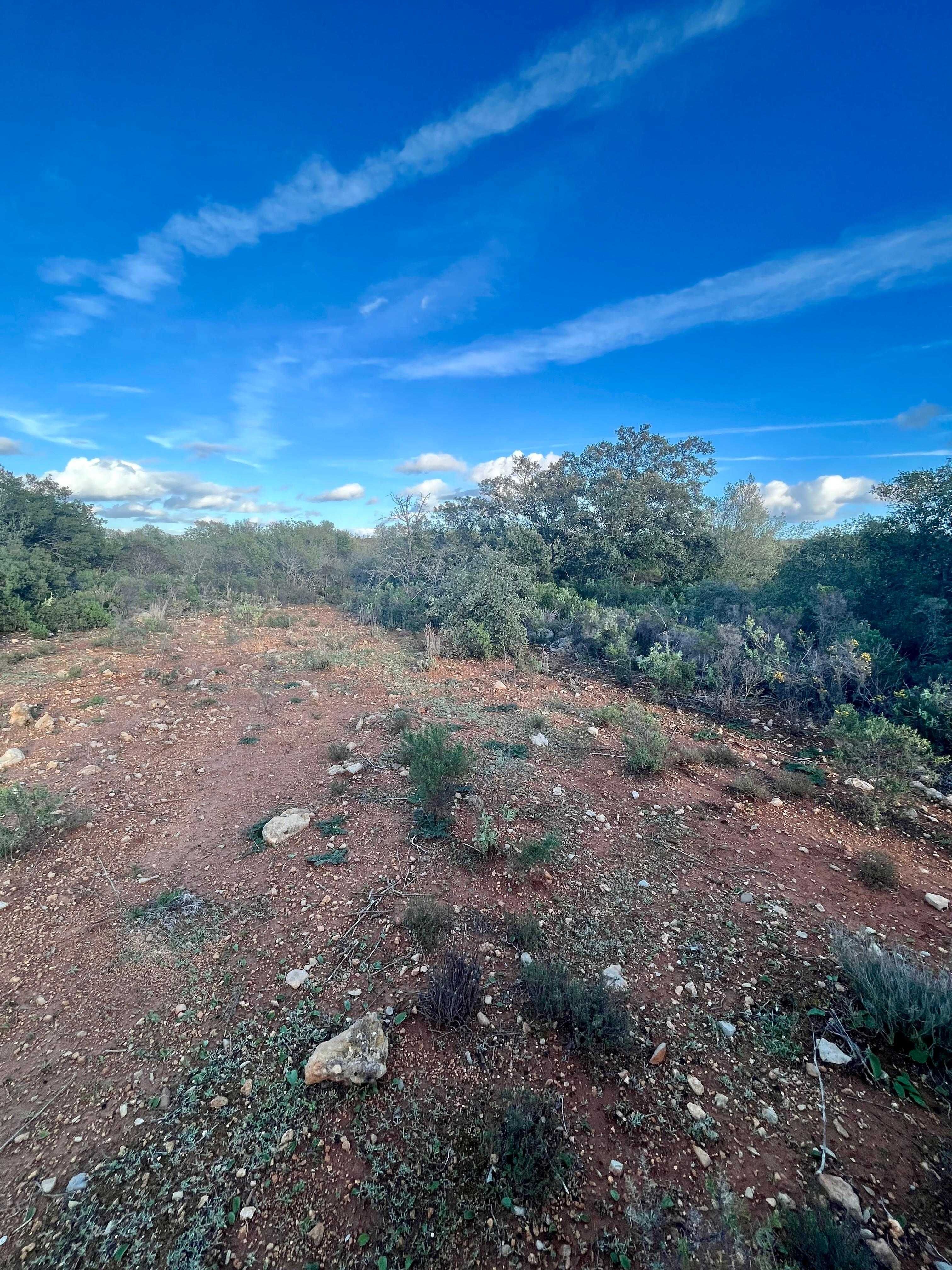 Terreno Rustico Algarve 19500m2