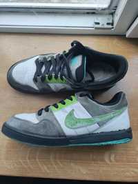 Nike dunk sb 6.0