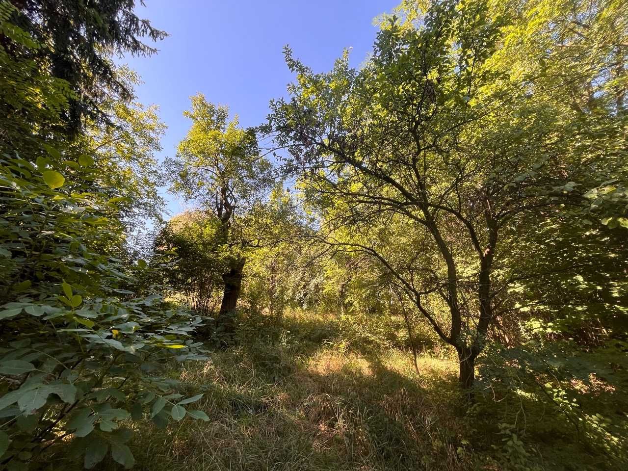 Działka budowlana - Płaza - 1820m2 - bezpośrednio, wszystkie media