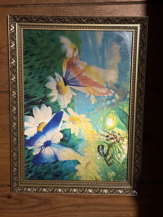 Tropikalne motyle - obrazek 3D w złotej ramie