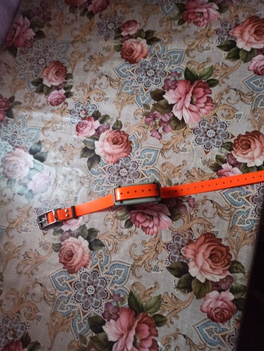 Продам джипіес трекер для собак