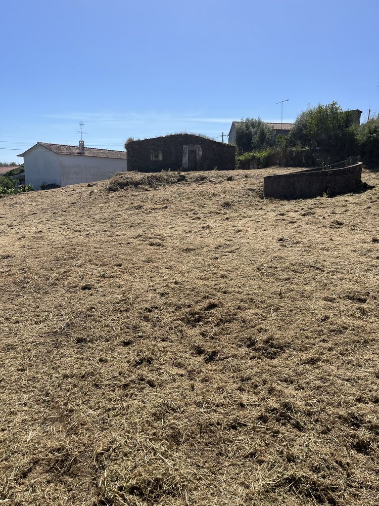 Vendo pequena quinta com ruina no centro de Mouriscas Abrantes