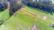 Terreno para cultivo em S. Vicente de Pereira Jusã - Exclusivo