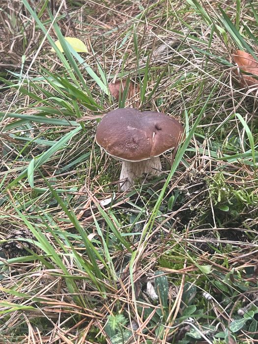 Noclegi , kwatery pracownicze , wynajem sali