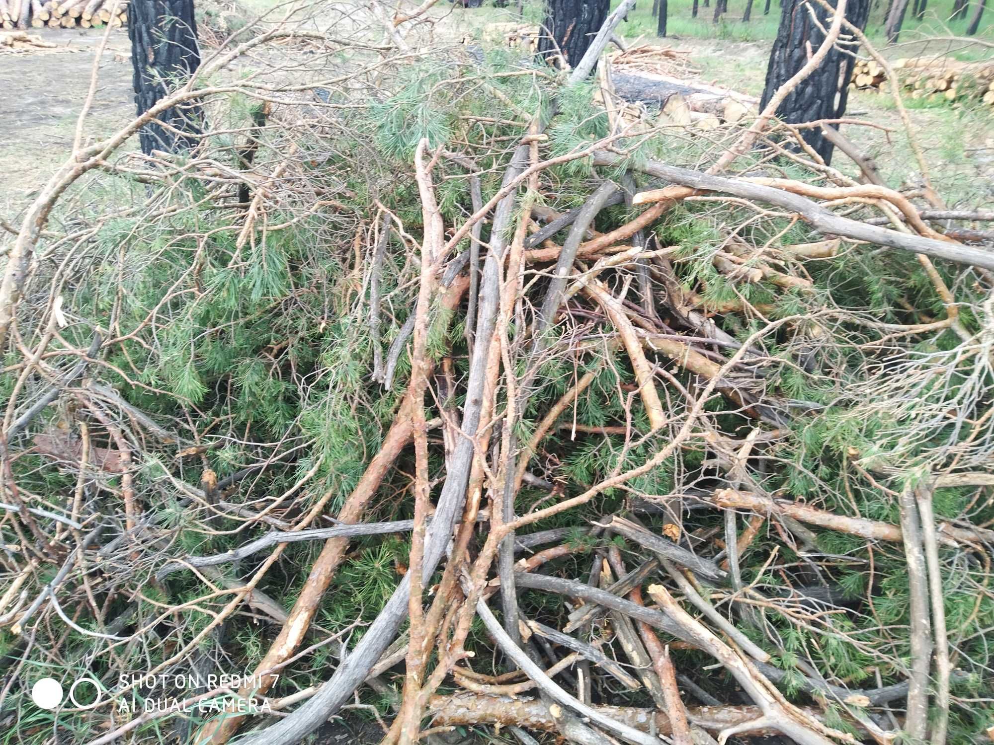 Ветки и хмыс дрова