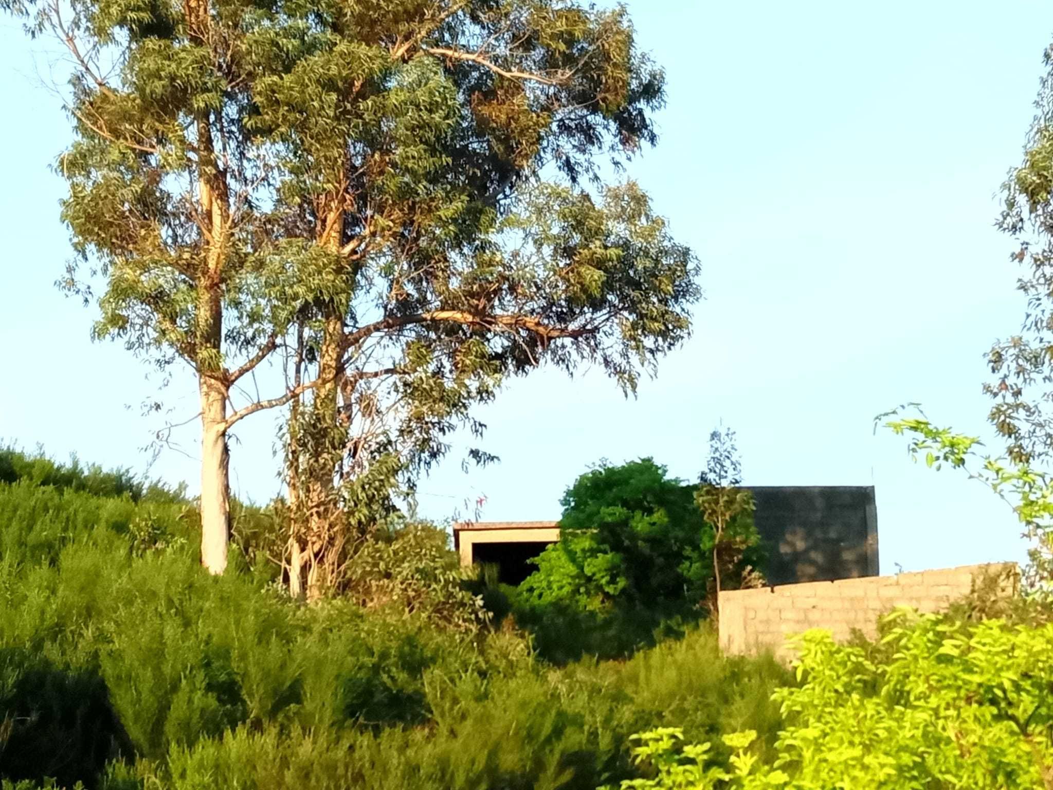 Casa geminada com 10 quartos e 5 casas de banho, para restaurar