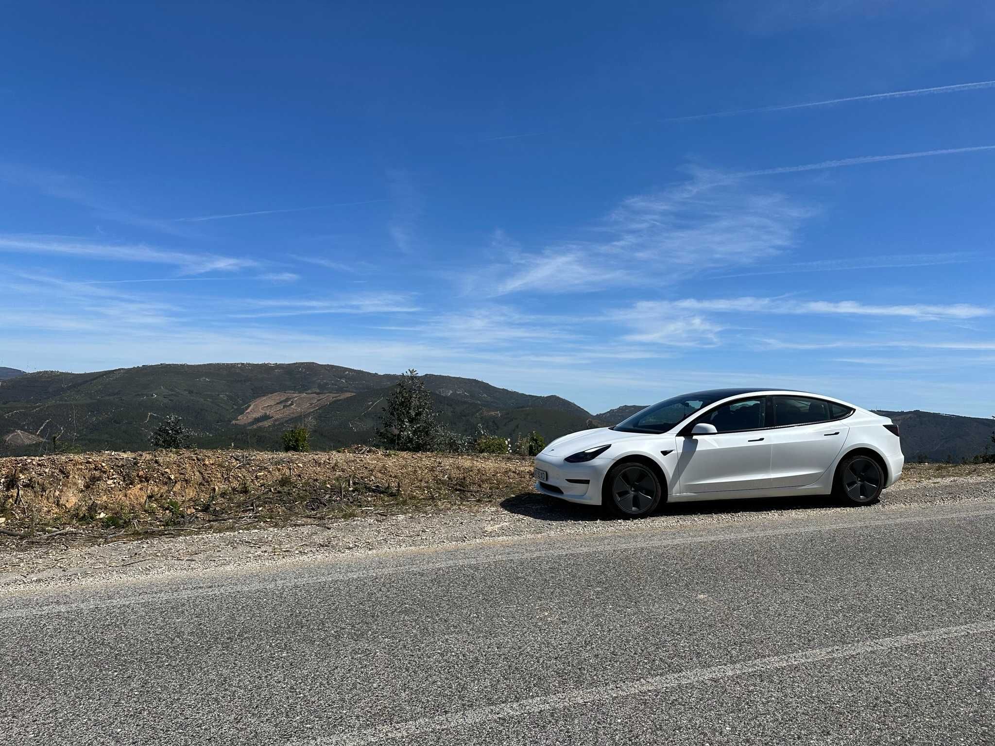 RESERVADO Tesla Model 3 Standard Range Plus – 325cv motor Performance