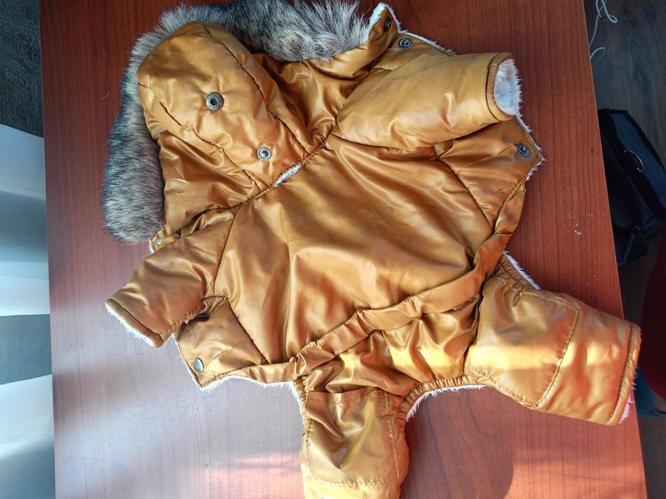 Зимовий одяг для собачки