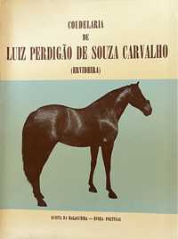 Coudelaria de Luiz Perdigão de Souza Carvalho (Ervideira)