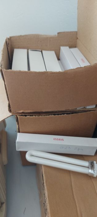 Żarówka świetlówka G23 2 pinowa