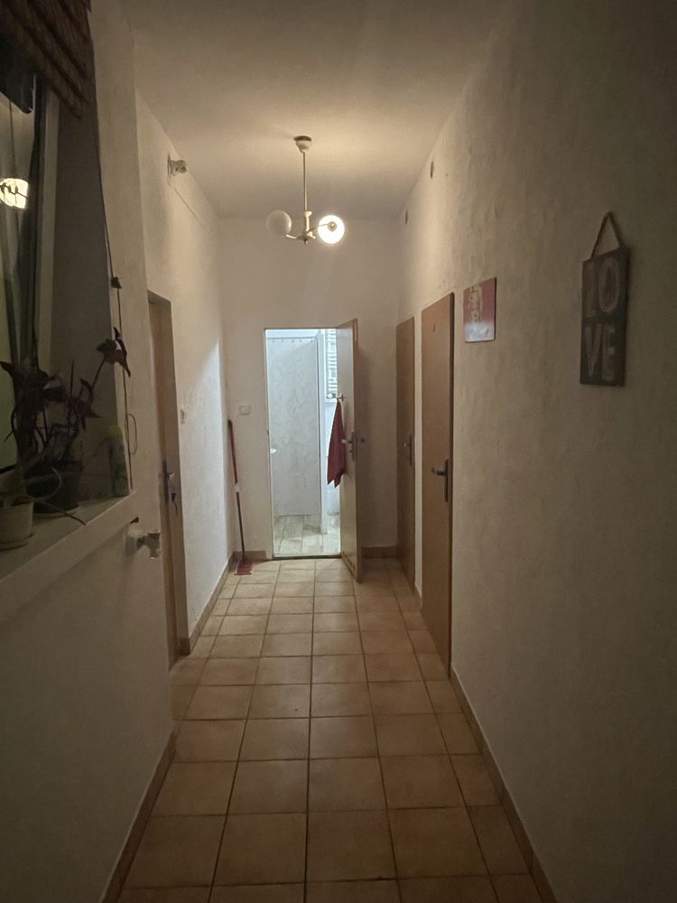 Pokoj do wynajecia