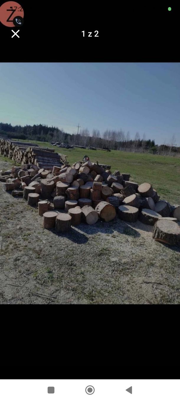 Drewno kominkowe i opałowe transport gratis