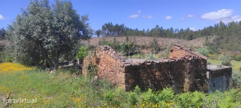 Quinta / Castelo Branco, São Vicente da Beira