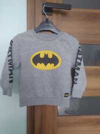 Bluza dresowa bawełniana ocieplana 104 Batman