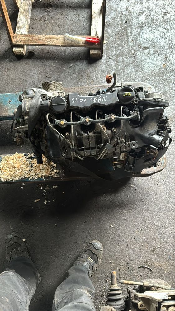 Peugeot Citroen 1.6hdi 9h01 silnik