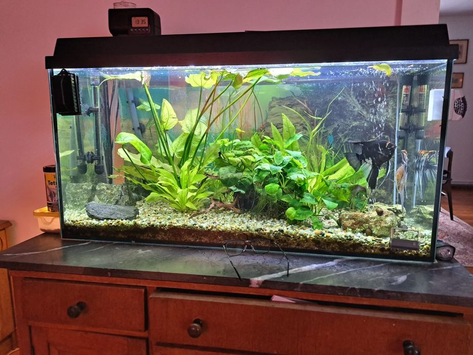 Akwarium 200l z osprzętem