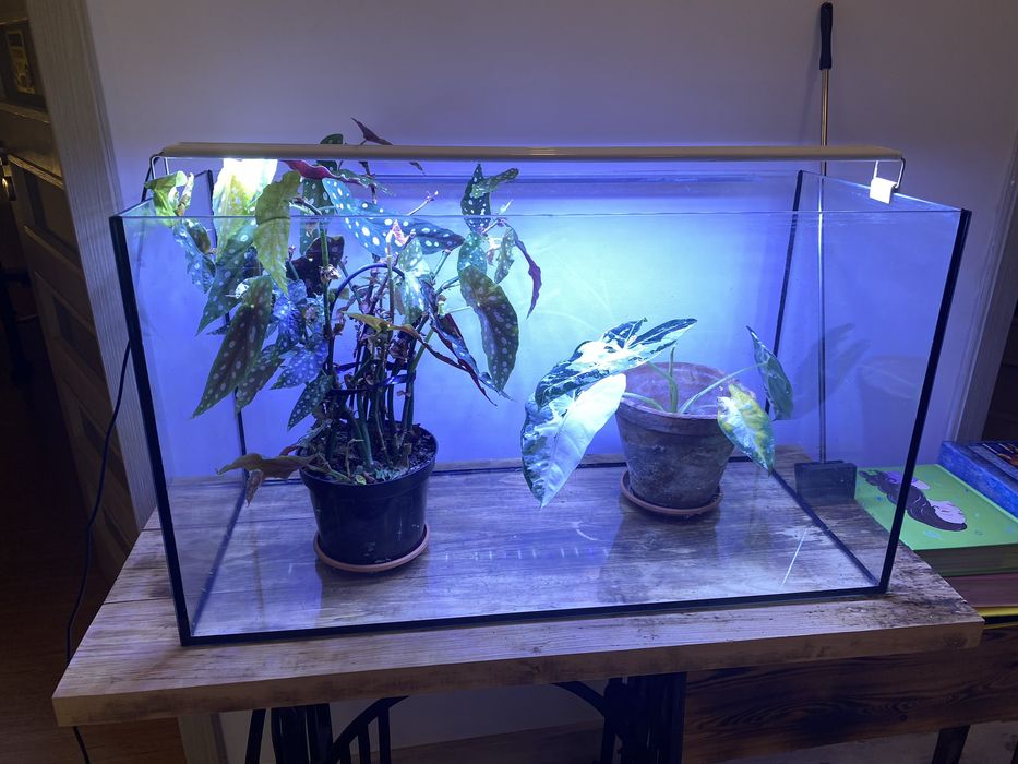 Akwarium 126l bez ryb