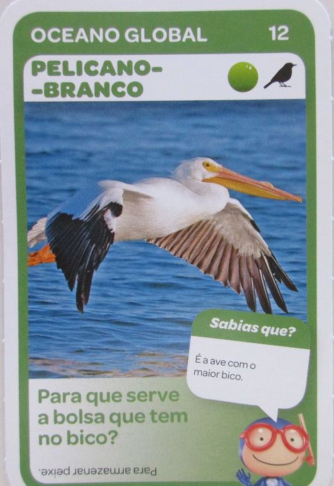 Super Animais 2 - - - Vida Marinha - Cartas Soltas Pingo Doce - Cromos
