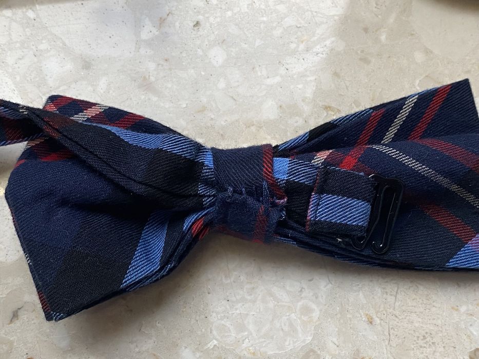 Wielobarwna muszka męska