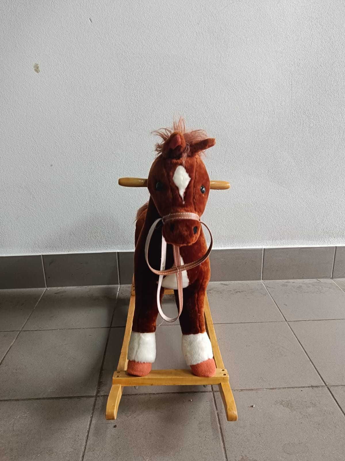 Koń na biegunach