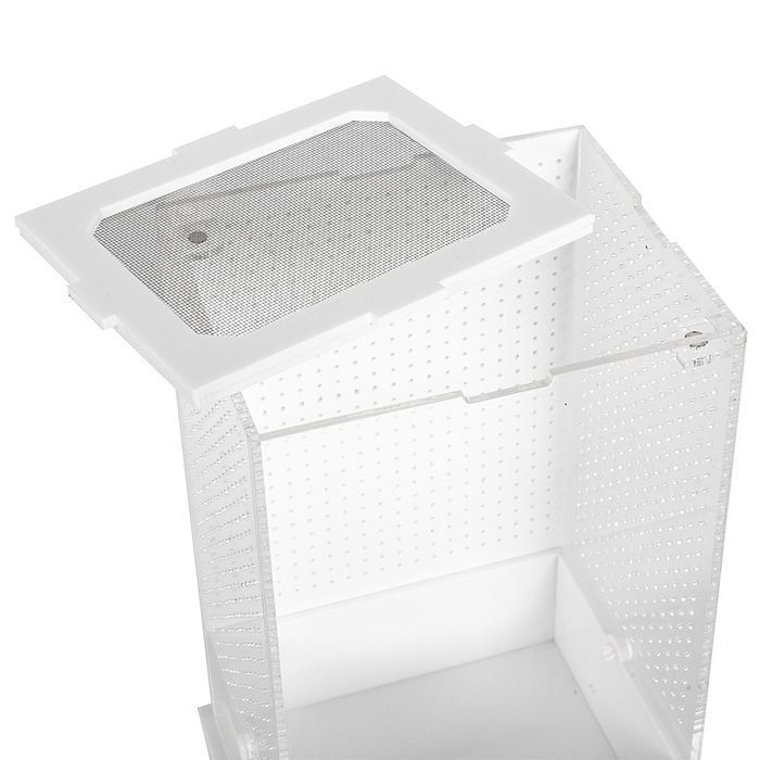 Repti-Zoo Mantis Box L - Terrarium Akrylowe Dla Modliszek