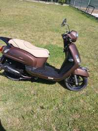 Sym Fiddle II  50