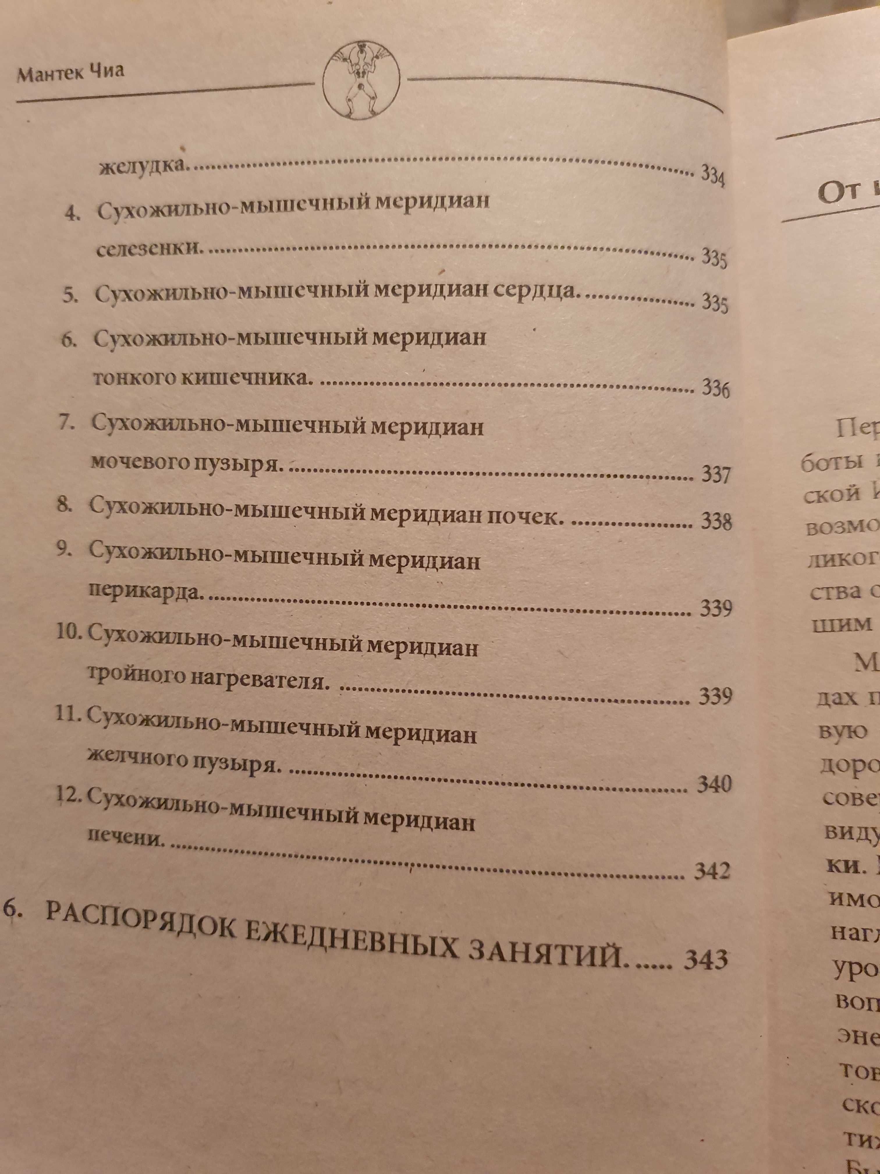 Цигун железная рубашка. Мантэк Чиа