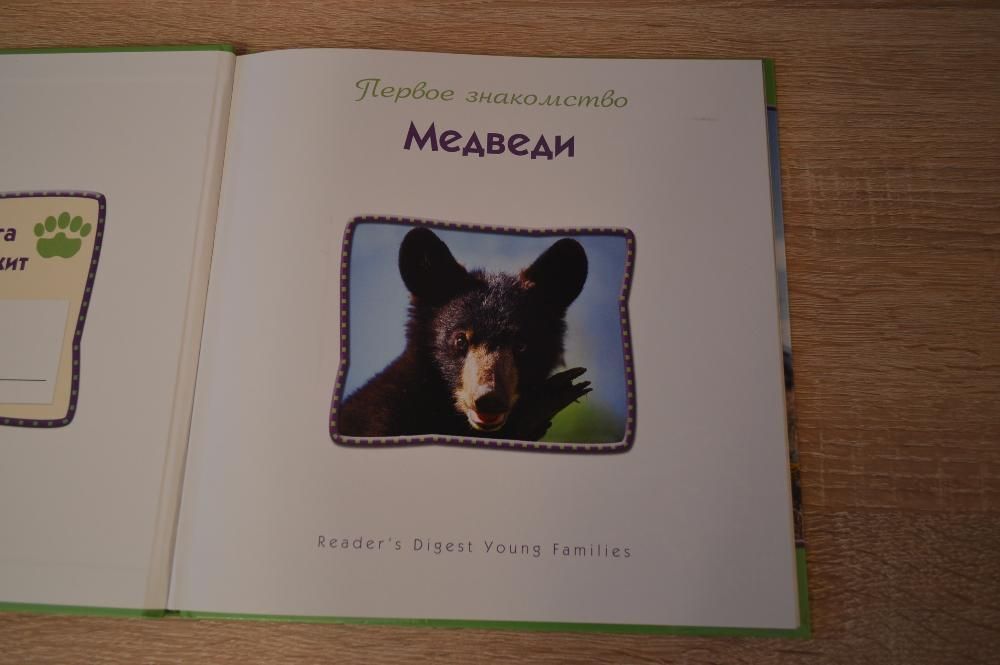 Детская книга "Медведи. Первое знакомство"