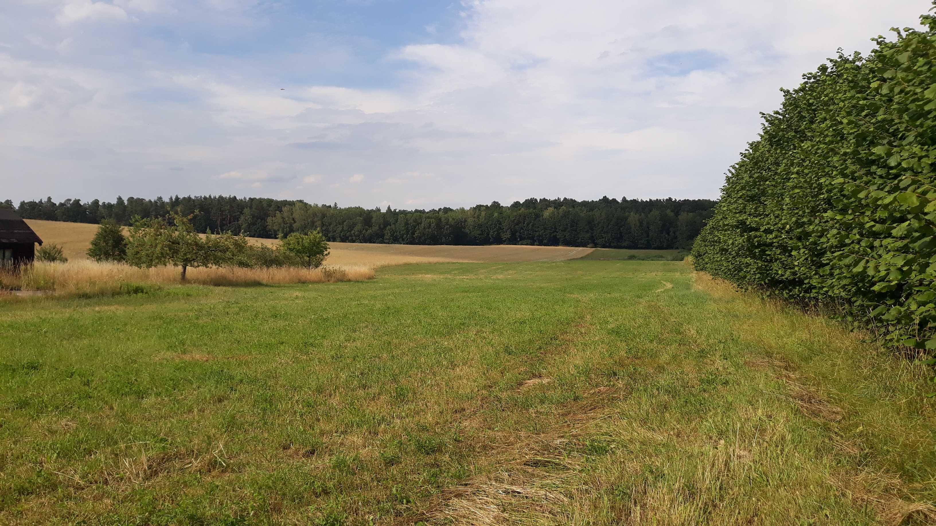 Sprzedam dużą działkę pod Olsztynem działka Nikielkowo