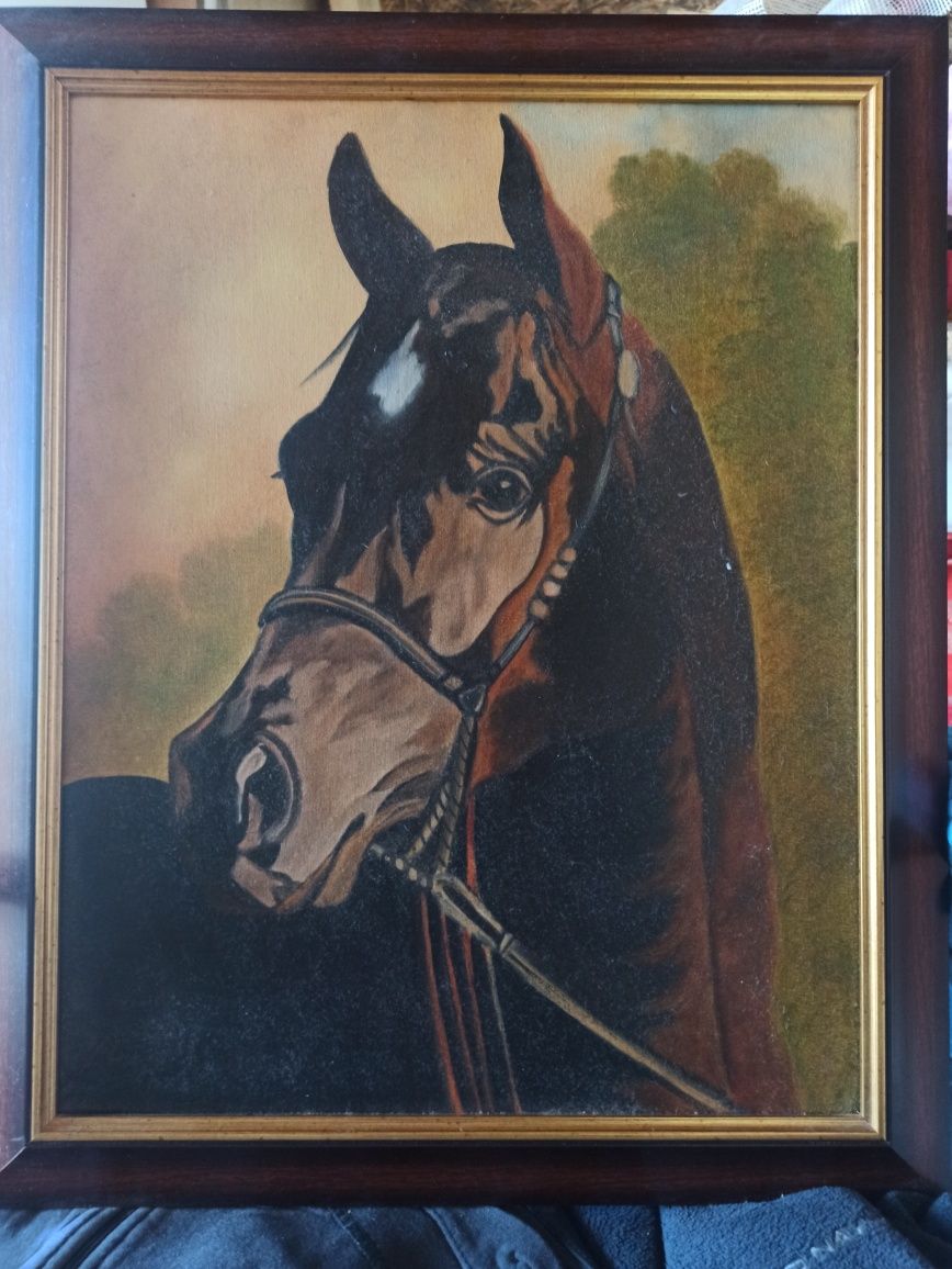 Obraz portret konia. Malowany. Wymiary  z ramą 47,5 cm na 58cm cm