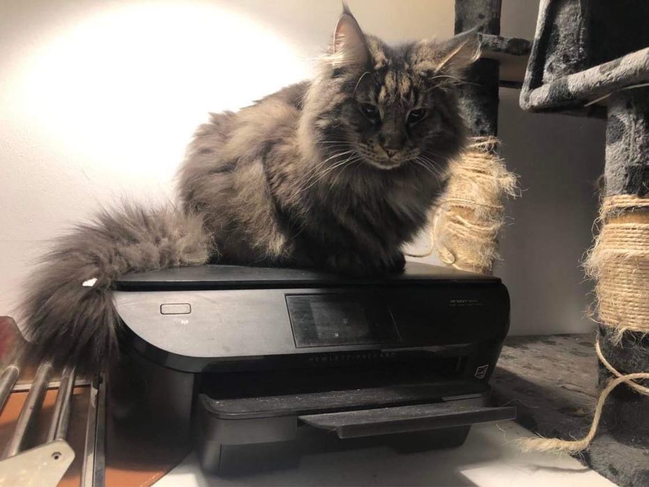 Drukarka HP envy 5640