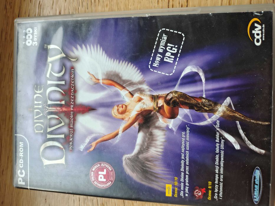 Divine Divinity Gra PC