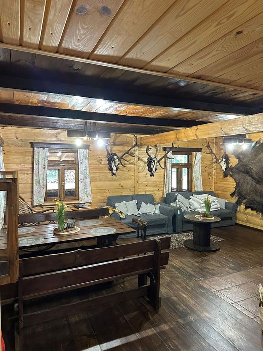 Domek w lesie,bania, jacuzzi noclegi lubelskie