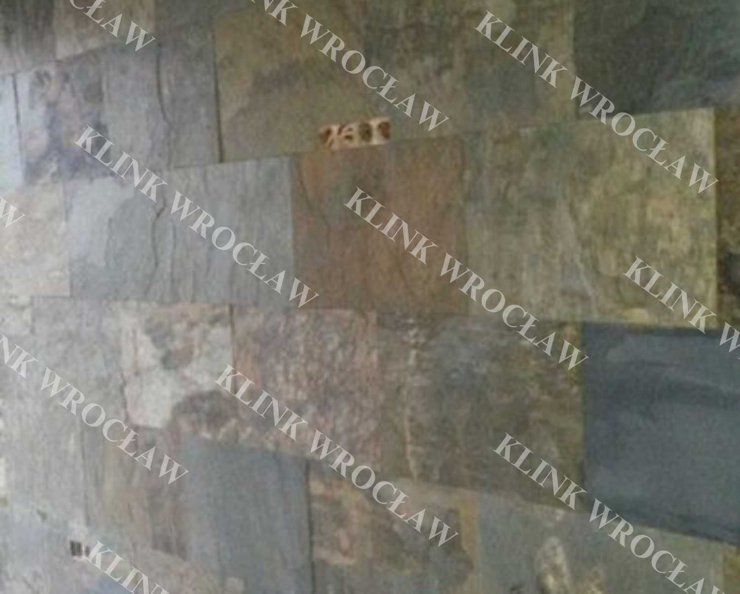 CALIFORNIA GOLD - Kamień naturalny elewacje, ścianki dekoracyjne 60x30