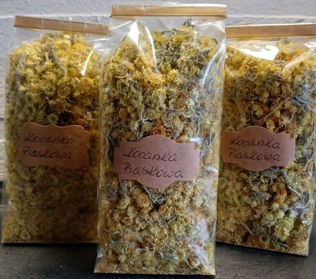 Susz kocanka piaskowa