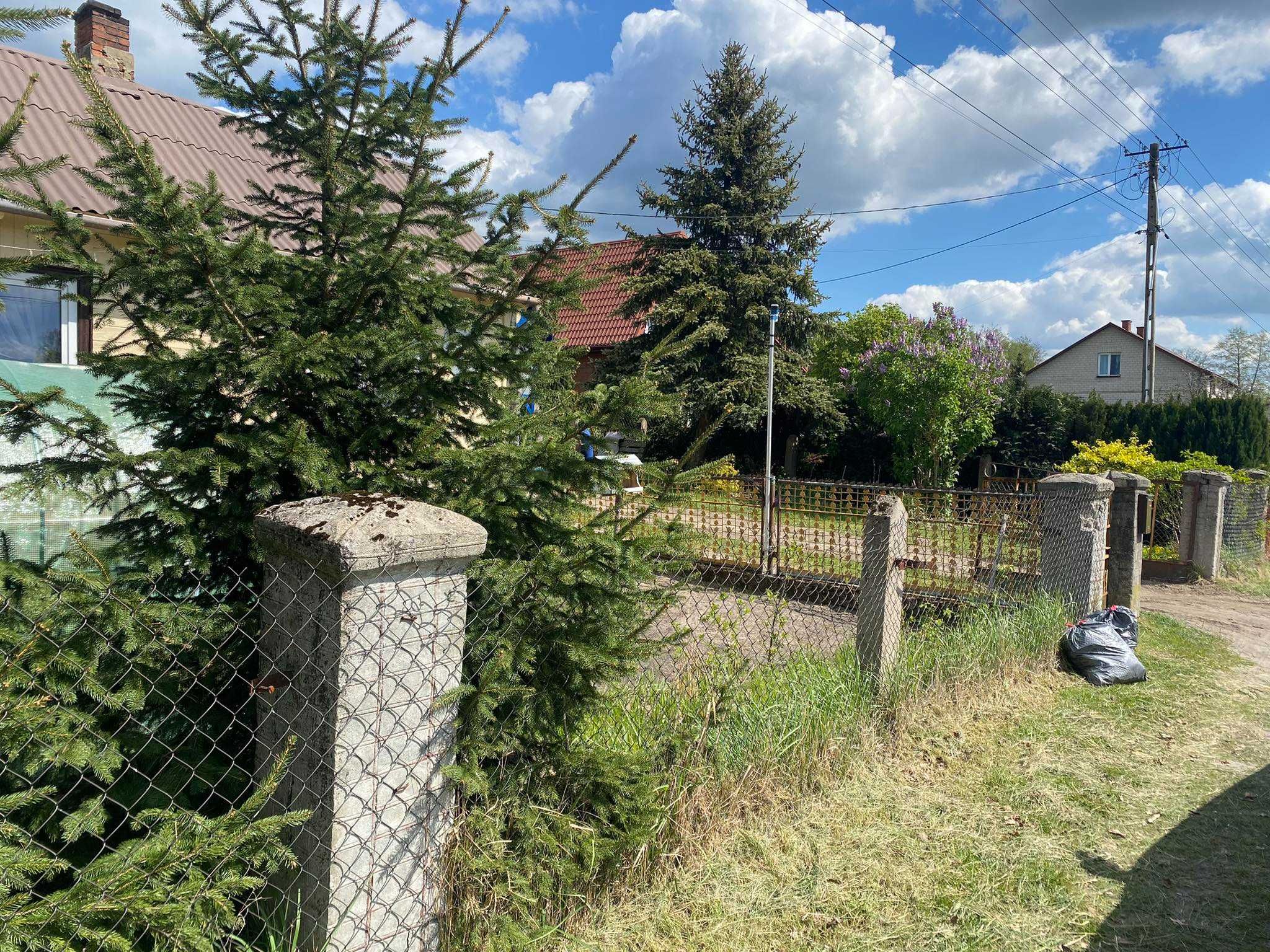 Spokojne siedlisko z zabudową zagrodową  w Mireniu