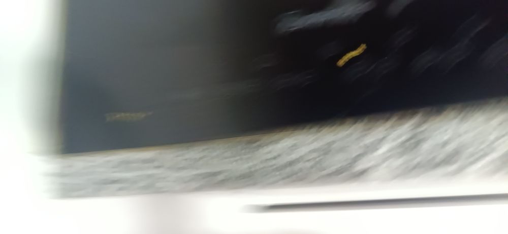 Placa de vitroceramica  partida nova