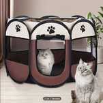 Descubra o Mundo Elevando o Estilo e o Conforto Felino!