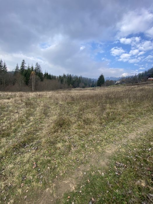 Земля в Ворохті!