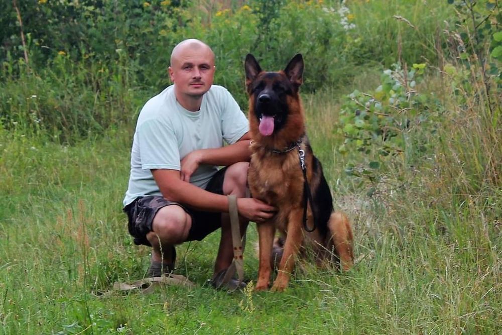 Німецька вівчарка Цуценята