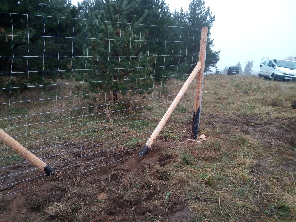 Ogrodzenie Tymczasowe  Kolbudy siatka leśna już 17 zł. za mb