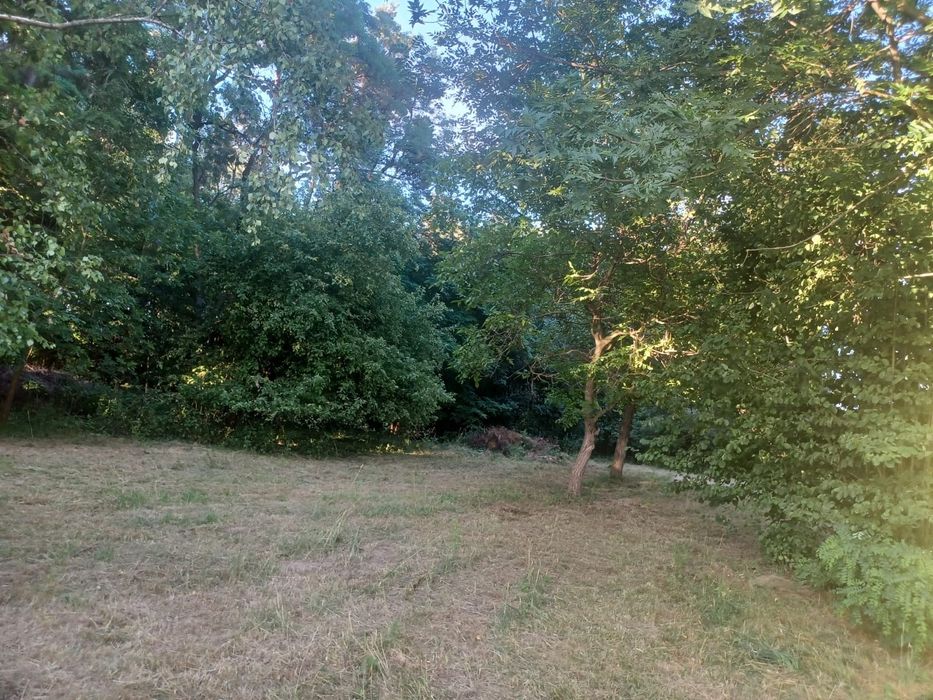 Dom 210m2 z Hektarem Lasu,Garażami,budynkami gospodarczymi