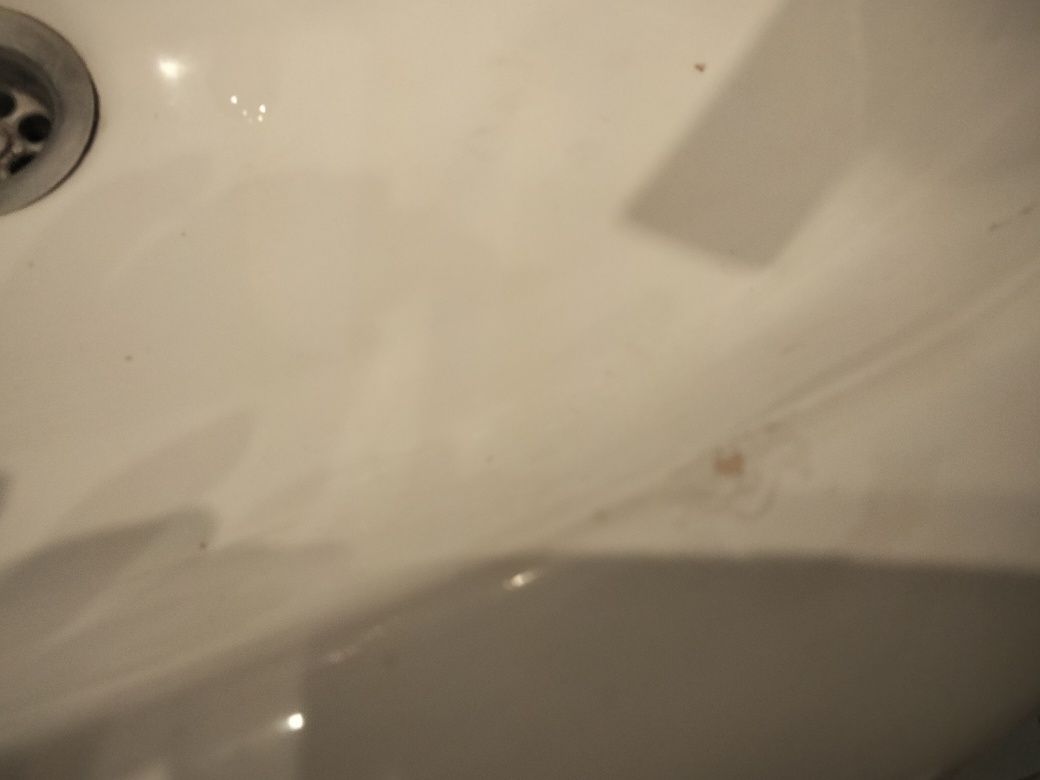 Umywalka owalna nablatowa